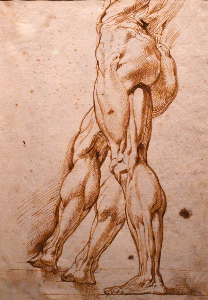 bikeitderek's tweet photo. Great day @AshmoleanMuseum to see the Bruegel to Rubén’s exhibition- stunning! https://t.co/Bwd125IhQY