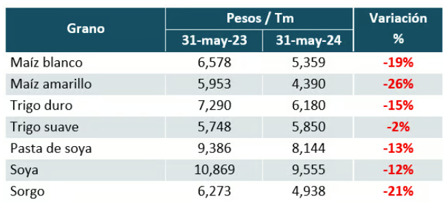 Caen los precios en México de los granos básicos y las oleaginosas. Estos productos son claves en nuestro sistema agroalimentario. Ordenar la comercialización con más certidumbre y precios justos a los productores, es un objetivo central.
Fuente @GCMA1