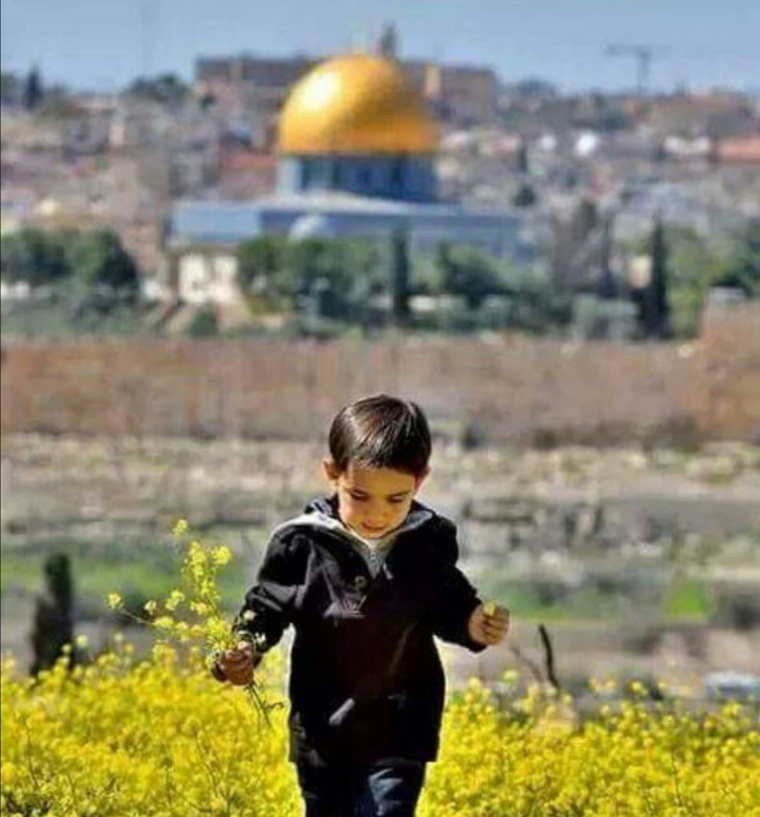 Hasbunallahu ve ni'mel vekil...
Elbet bir gün yeşerecek umutlar, çiçekler. 

#FreePalestine
#SONDAKİKA Ateşiniz
#RafahOneFıre