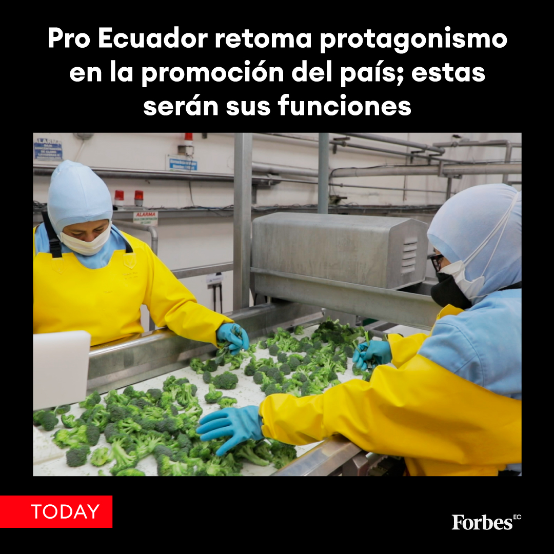 forbesecuador's tweet photo. Pro Ecuador 🇪🇨 asume funciones del Viceministerio de Exportaciones e Inversiones 📈 por Decreto Ejecutivo del presidente Daniel Noboa el 31 de mayo 🗓️. En 2018, se fusionó en el Ministerio de Producción y Comercio Exterior 🎣
Lee más en el link: https://t.co/B3uzWzmSkS https://t.co/9LaDvL7MLM