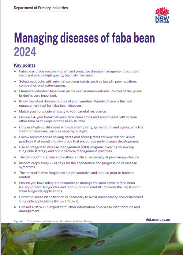 NSW Agronomy (@nsw_agronomy) on Twitter photo The @nswdpi "Managing diseases of faba bean" guide is out NOW...
Includes:
🦠Major diseases overview.
📸Great photos as a reference.
👩🌾Management tips.
LINK⬇️
dpi.nsw.gov.au/__data/assets/…
<a href="/theGRDC/">GRDC</a> <a href="/GRDCNorth/">GRDC North</a> <a href="/vanleurj/">Joop van Leur</a> <a href="/Mark_RichardsAG/">Mark Richards</a> <a href="/s_simpfendorfer/">Steven Simpfendorfer</a> The @nswdpi "Managing diseases of faba bean" guide is out NOW...
Includes:
🦠Major diseases overview.
📸Great photos as a reference.
👩🌾Management tips.
LINK⬇️
dpi.nsw.gov.au/__data/assets/…
<a href="/theGRDC/">GRDC</a> <a href="/GRDCNorth/">GRDC North</a> <a href="/vanleurj/">Joop van Leur</a> <a href="/Mark_RichardsAG/">Mark Richards</a> <a href="/s_simpfendorfer/">Steven Simpfendorfer</a>