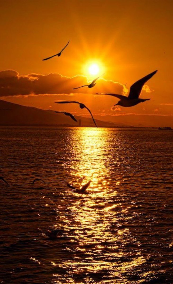 saleh_a_alamri's tweet photo. الفألُ للغادين صوتُ الحادي
والصبرُ راحلةٌ إلى الميعادِ

والعسرُ بادرةٌ ليسرٍ سابغٍ
مثلُ المخاضِ لفرحة الميلادِ

وأزمًةُ الأقدارِ في يدٍ خالقٍ
يُجري الكواكبَ في الفضاء الهادي

يا من عَنَا أمرُ القضاءِ لأمرِهِ
قُدنا لغايةِ عزّةٍ ورشادِ.. 

#بوح https://t.co/9V78fyTY0a