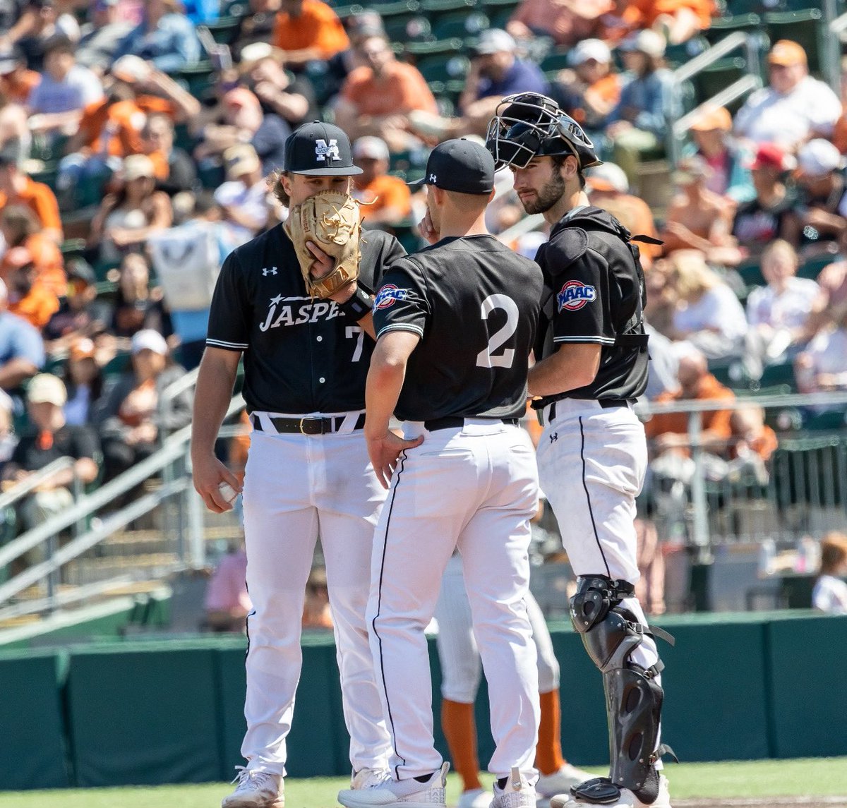 JaspersBaseball's tweet image. NEWS: Director of Athletics Irma Garcia promotes Steven Rosen as interim baseball coach 📝⬇️

gojaspers.com/news/2024/6/3/…