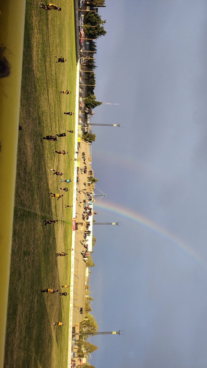 Salió el sol para el aurinegro 🖤💛🖤