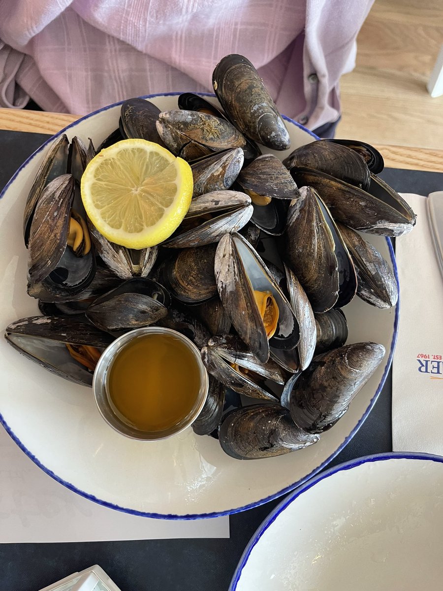 intheolivegroves tweet media