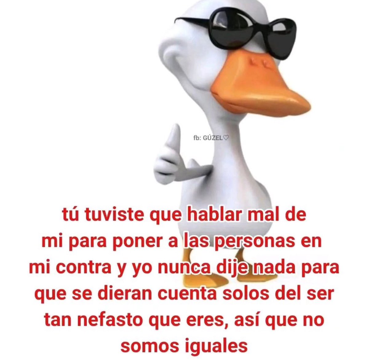 conoloracigarro's tweet photo. https://t.co/9z8Zp7bJ2G