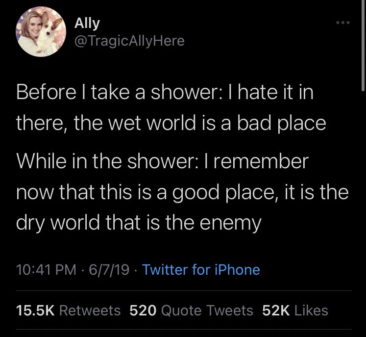 tiny tort (@tiny_tortzke) on Twitter photo 