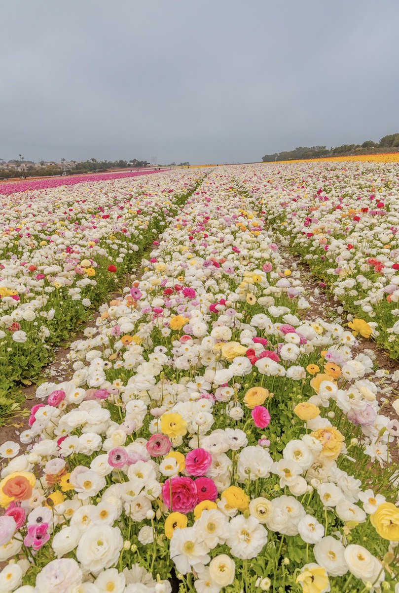 This isn't goodbye; it’s a see you later! 💕 Is it too soon to start counting down the days until next year? 🤔