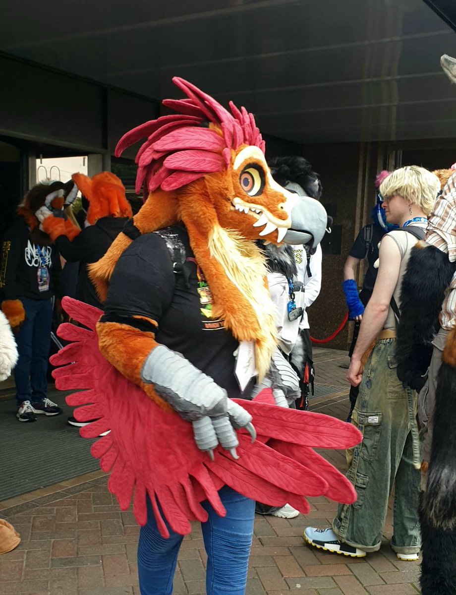 Some more Confuzzled pictures

#cfz #cfz2024 #confuz