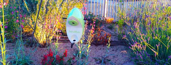 Birdilus's tweet photo. Take a look at our Etsy site for a very unique and artistic birdfeeder for your outdoor space. Do you like color? Who doesn't?  Birds do too.  They love what's inside Birdilus even more though.   Cheers birdfeedies.
https://t.co/lPiR8wt3ZJ https://t.co/GkluSNJIR0