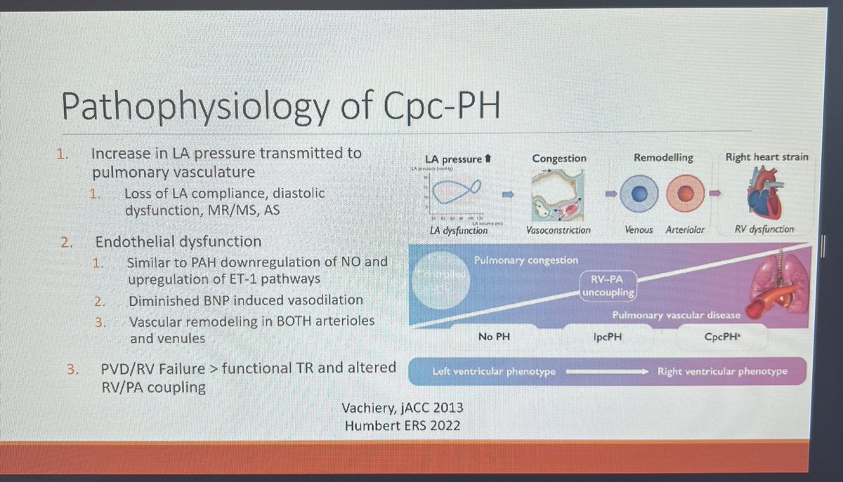ChonyAlbert MD (@chonyalbertmd) on Twitter photo Dr. Grewal presented an excellent overview of PH for RWJ cardiology grand rounds today. Challenges remain for cPC-PH. Opportunities for treatment options! Option for sotatercept? <a href="/ppsengupta1/">Partho P Sengupta</a>
<a href="/Jgrewal_12/">Jagpreet Grewal</a> Dr. Grewal presented an excellent overview of PH for RWJ cardiology grand rounds today. Challenges remain for cPC-PH. Opportunities for treatment options! Option for sotatercept? <a href="/ppsengupta1/">Partho P Sengupta</a>
<a href="/Jgrewal_12/">Jagpreet Grewal</a>