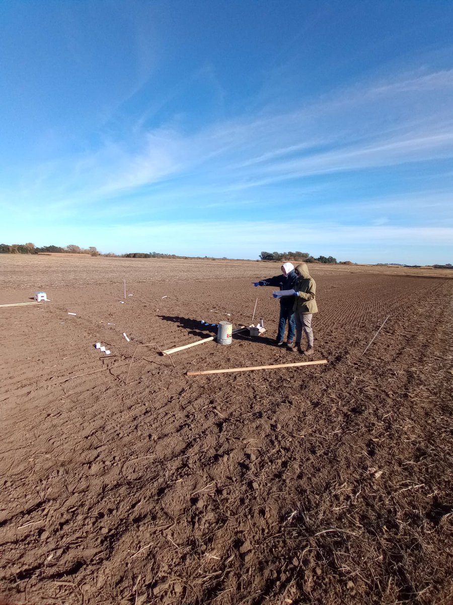 GrupoEcofisPerg's tweet photo. 🌾 ¡Hoy largamos la primera siembra de trigo de la campaña 2024 del grupo!

📍@IntaPergamino 

👩@FerGGonzalez73 
👩@NicolePretini 
👩🏼Giuliana Ferrari
🙋🏻‍♂️@NicolasRusoci 
🙋🏻‍♂️Luis Blanco
🙋🏻‍♂️@OctavioGhio https://t.co/taHFrhW2Iy
