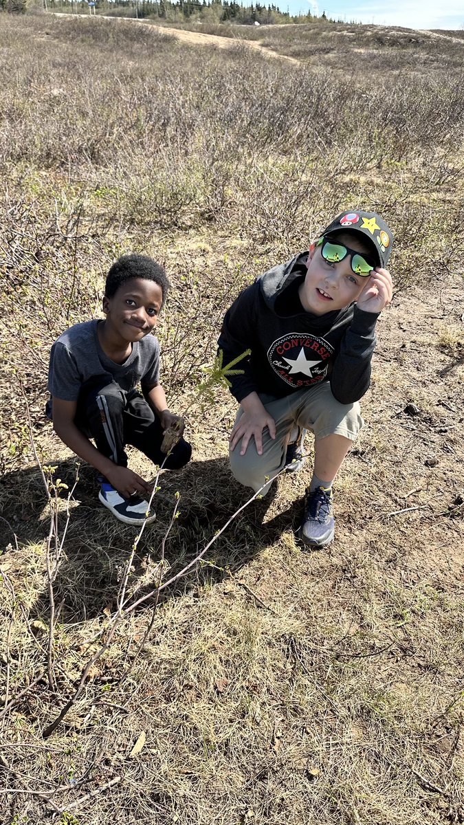 A.P. Low Primary School tweet media