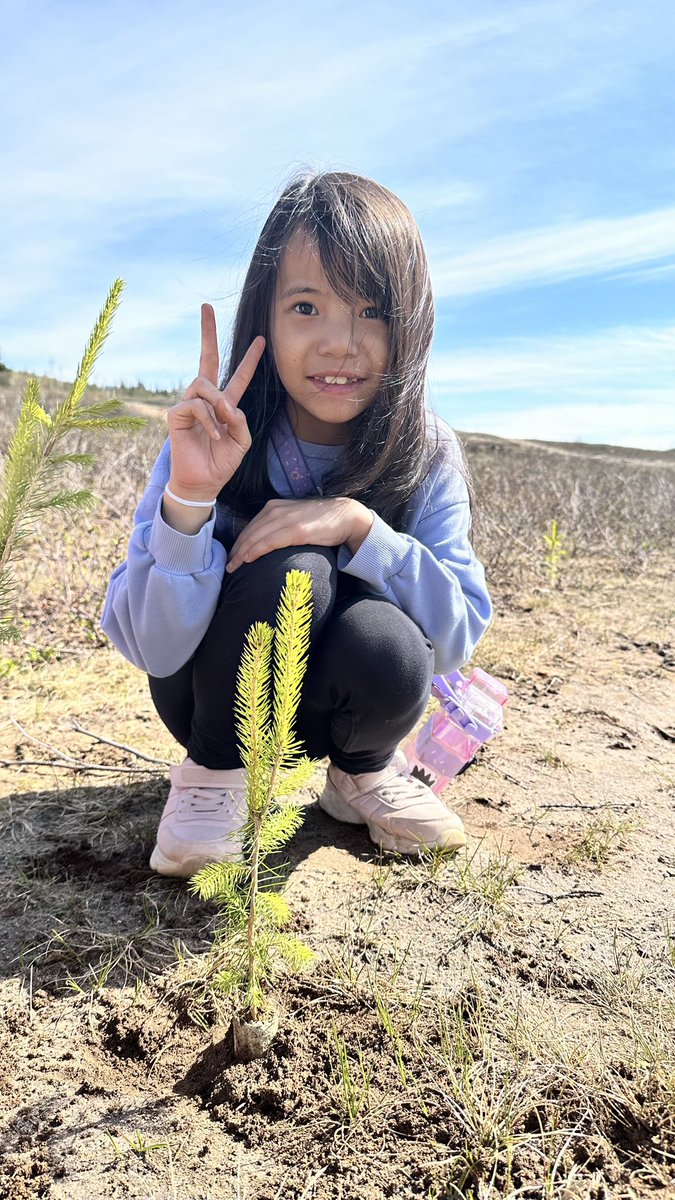 A.P. Low Primary School tweet media