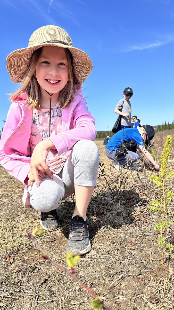 A.P. Low Primary School tweet media