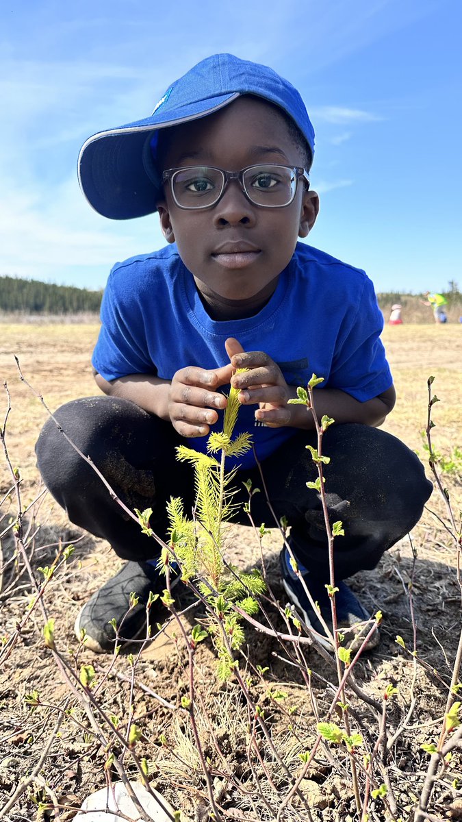 A.P. Low Primary School tweet media