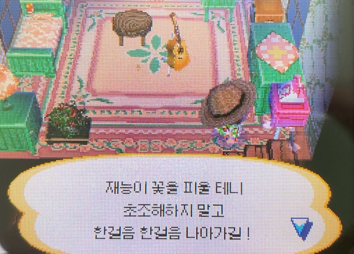 화요팅
