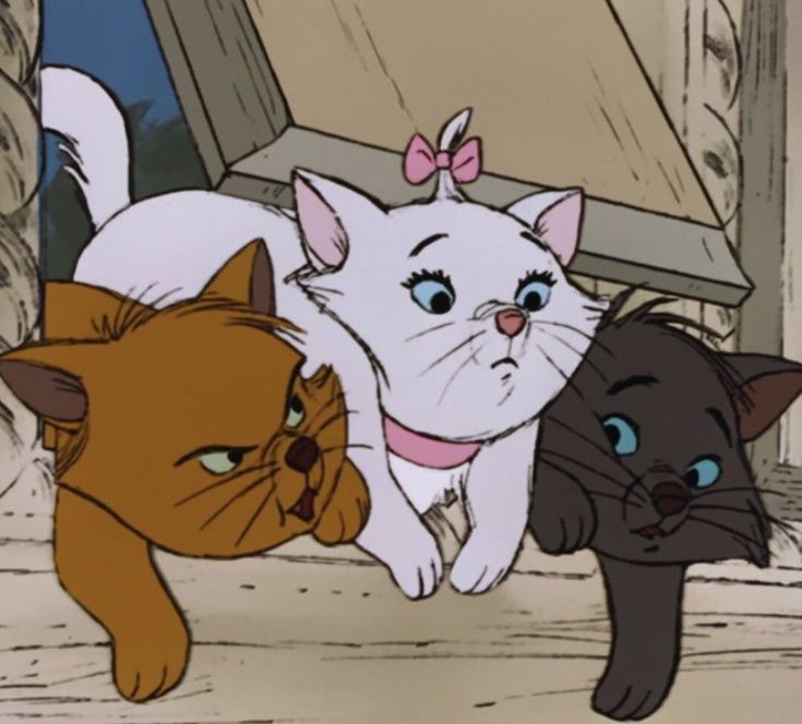 Meri_bittershok's tweet photo. Aristogatos | Os Hyunho 

Mnho ama tanto la película de los aristogatos, no importa cuantas veces la vea, el chico jamás se cansará de esta, Hyjn solo puede sonreír cuando ve como los ojos de su lindo novio se iluminan al ver aquella película que tanto ama. https://t.co/WxfIAyKjYi