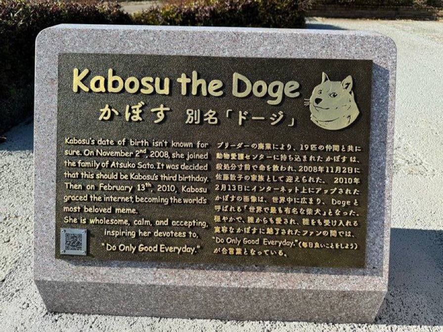 $KABOSU tweet media