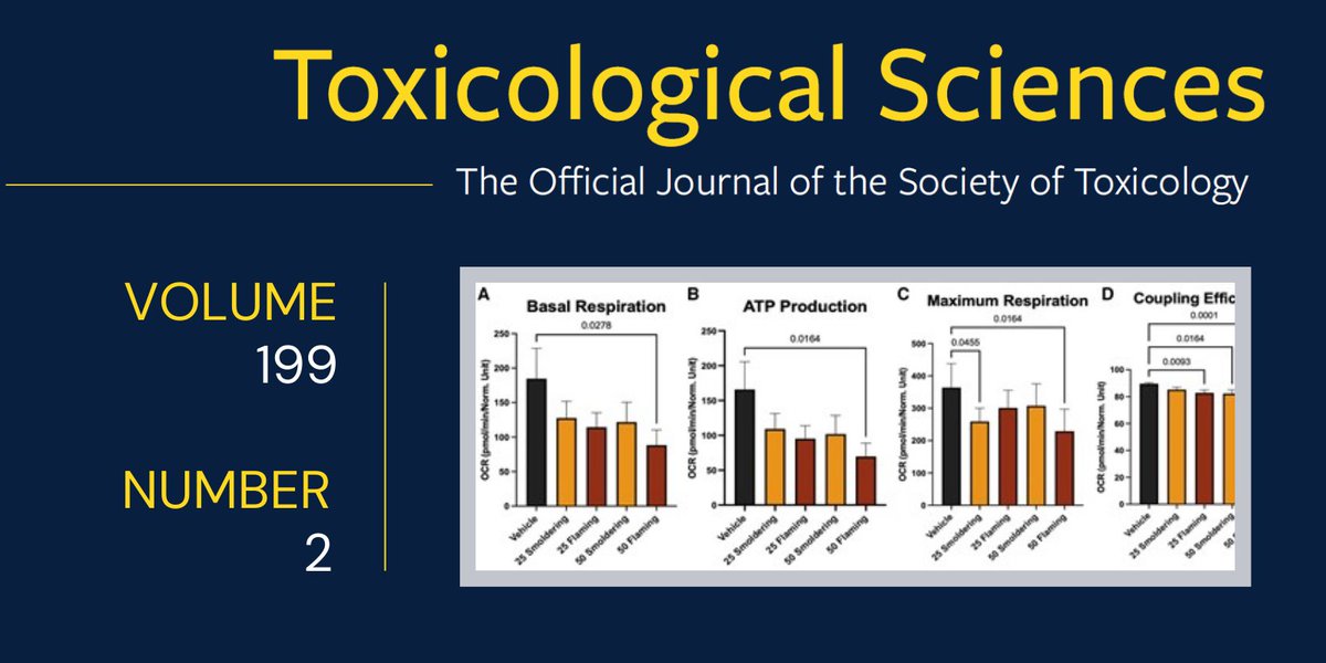 Society of Toxicology (@sotoxicology) on Twitter photo June 2024 <a href="/ToxSci/">Toxicological Sciences</a> #ToxSpotlight Article—Emissions from Plastic Incineration Induce Inflammation, Oxidative Stress, and Impaired Bioenergetics in Primary Human Respiratory Epithelial Cells academic.oup.com/toxsci/article… #FreeToRead June 2024 <a href="/ToxSci/">Toxicological Sciences</a> #ToxSpotlight Article—Emissions from Plastic Incineration Induce Inflammation, Oxidative Stress, and Impaired Bioenergetics in Primary Human Respiratory Epithelial Cells academic.oup.com/toxsci/article… #FreeToRead