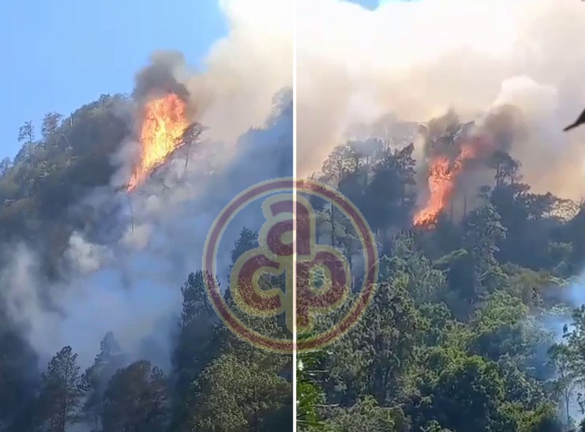 alcalorpolitico's tweet photo. #ElPoderDeLaVerdad 🔥| Pobladores de #IxhuacánDeLosReyes que mantienen bloqueos en #Xalapa comparten videos de la alarmante situación por el incendio forestal en los límites con #Puebla, donde grandes columnas de humo y llamas envuelven árboles. Esta es la razón por la que cierran calles para exigir ayuda.
#ChécaloEnAlCalor
