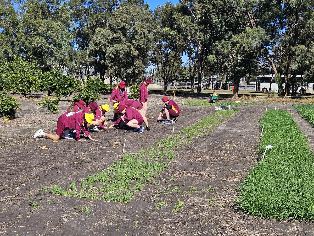 Douglas Lush tweet media