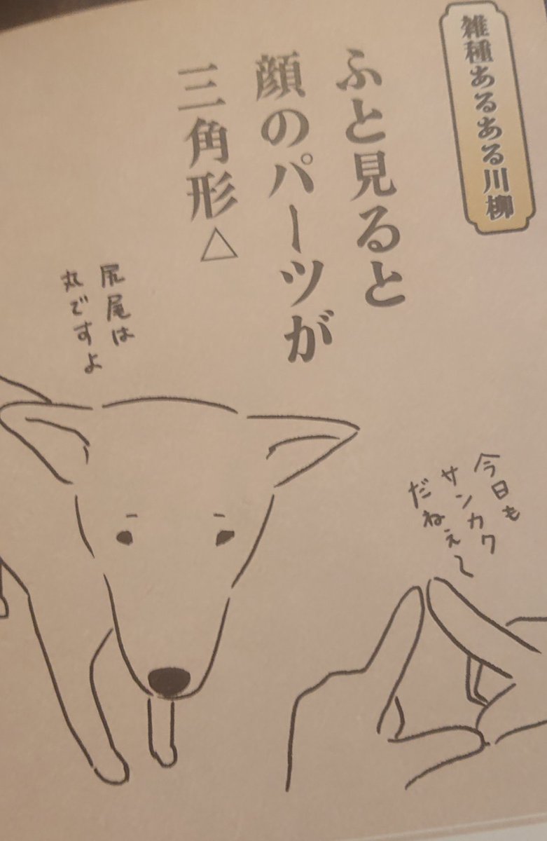 また家内が変な本買ってる,,, 