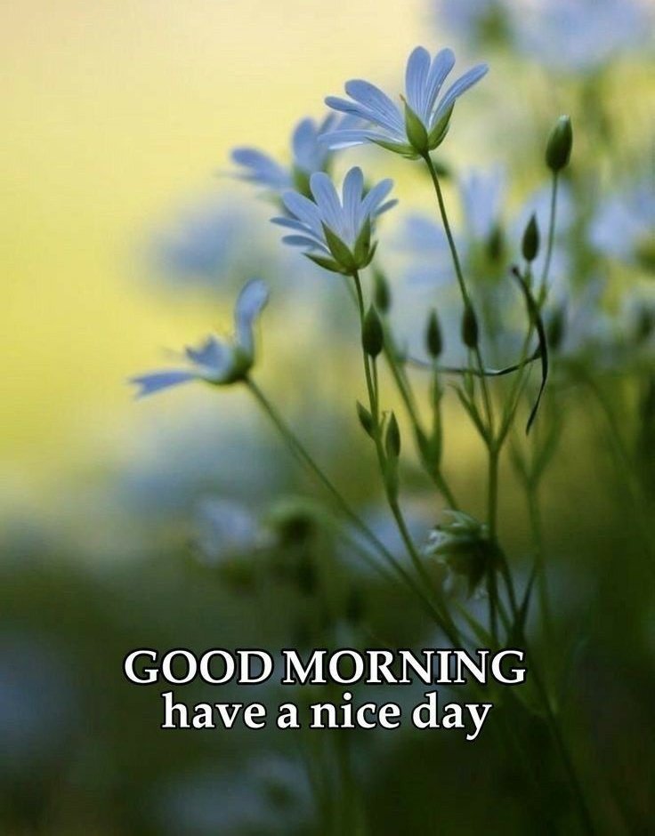 Aslam Alikum 
Kasay hn sub 
Good morning 
Have nice day