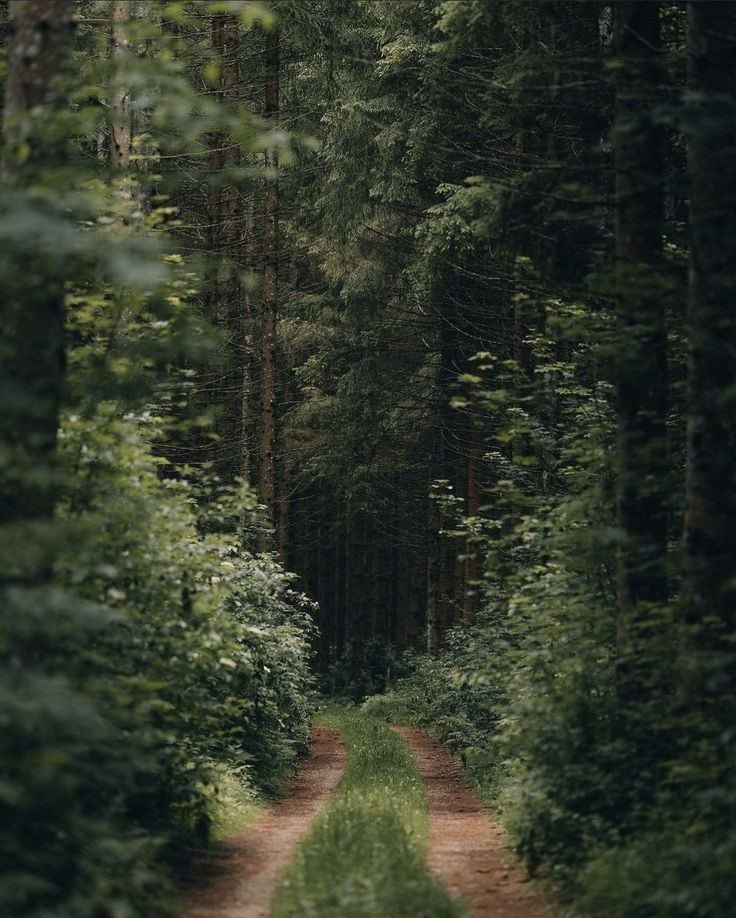 TaintedTreasure's tweet image. 