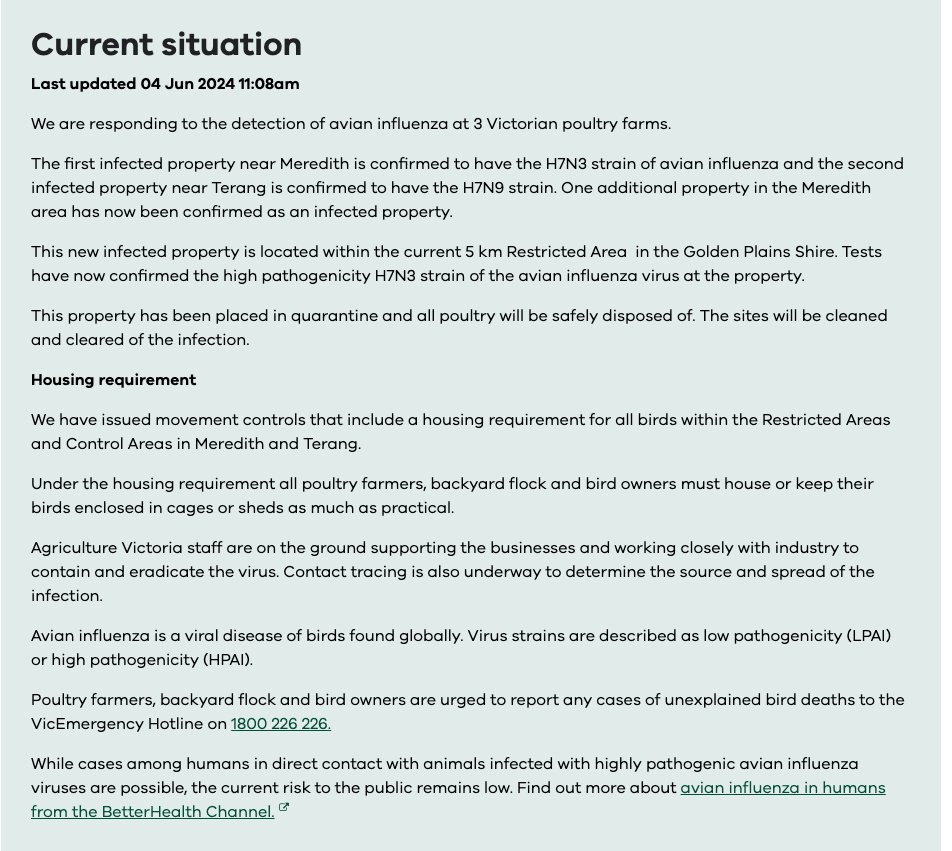 Michelle Wille tweet media