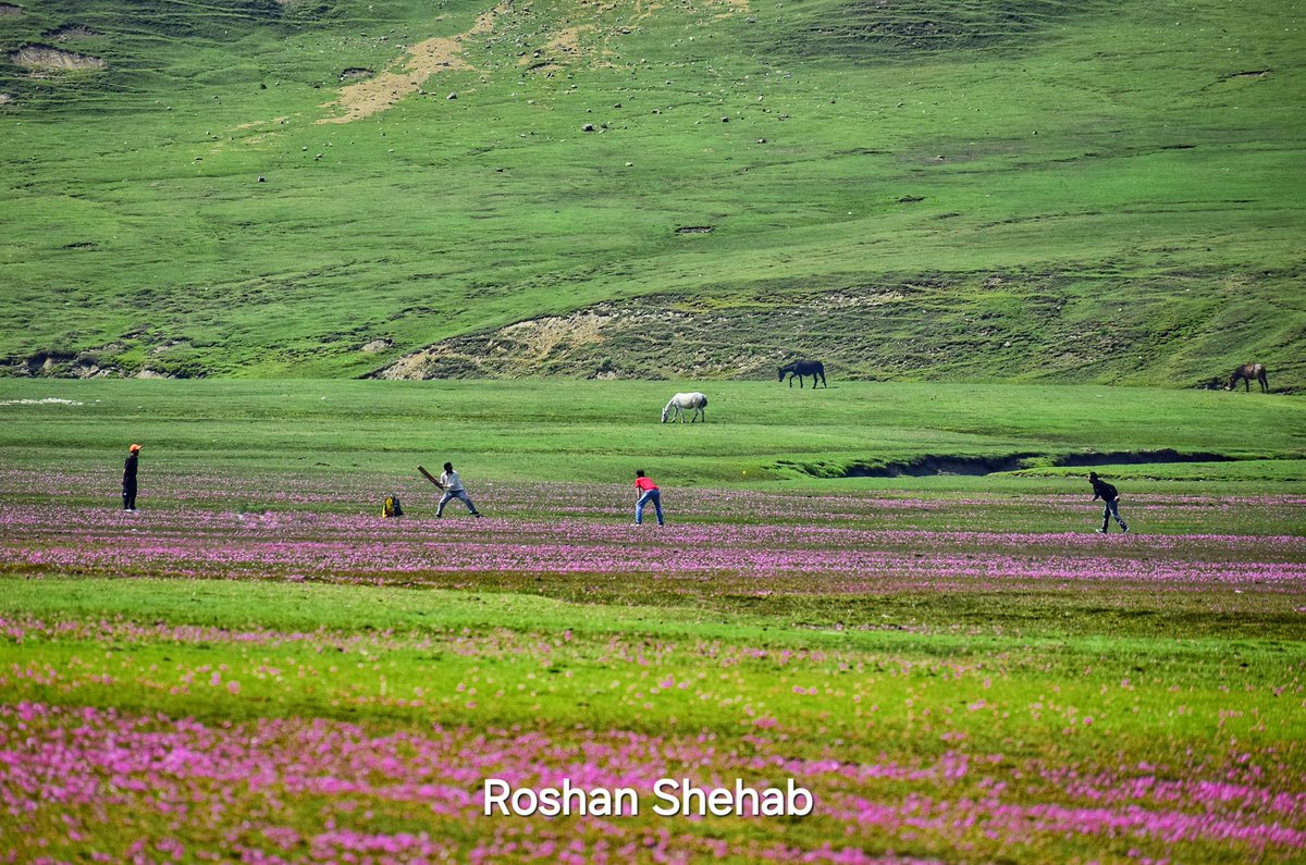 Kupwara Photography Club (@kpc_kupwara) on Twitter photo Cricket in wilderness at Bangus Valley, Kupwara. Bangus is situated at an altitude of 3000mtrs above sea level under the shadow of sub-himalyan range.
<a href="/NatGeo/">National Geographic</a> <a href="/cricketwallah/">Cricketwallah</a> <a href="/ESPNcricinfo/">ESPNcricinfo</a> <a href="/cricketaakash/">Aakash Chopra</a> <a href="/msdhoni/">Mahendra Singh Dhoni</a> <a href="/sachin_rt/">Sachin Tendulkar</a> <a href="/JandKTourism/">Jammu & Kashmir Tourism</a> <a href="/oltraveller/">Outlook Traveller</a> <a href="/shahfaesal/">Shah Faesal</a> <a href="/rjnasirkashmir/">RJ Nasir</a> Cricket in wilderness at Bangus Valley, Kupwara. Bangus is situated at an altitude of 3000mtrs above sea level under the shadow of sub-himalyan range.
<a href="/NatGeo/">National Geographic</a> <a href="/cricketwallah/">Cricketwallah</a> <a href="/ESPNcricinfo/">ESPNcricinfo</a> <a href="/cricketaakash/">Aakash Chopra</a> <a href="/msdhoni/">Mahendra Singh Dhoni</a> <a href="/sachin_rt/">Sachin Tendulkar</a> <a href="/JandKTourism/">Jammu & Kashmir Tourism</a> <a href="/oltraveller/">Outlook Traveller</a> <a href="/shahfaesal/">Shah Faesal</a> <a href="/rjnasirkashmir/">RJ Nasir</a>