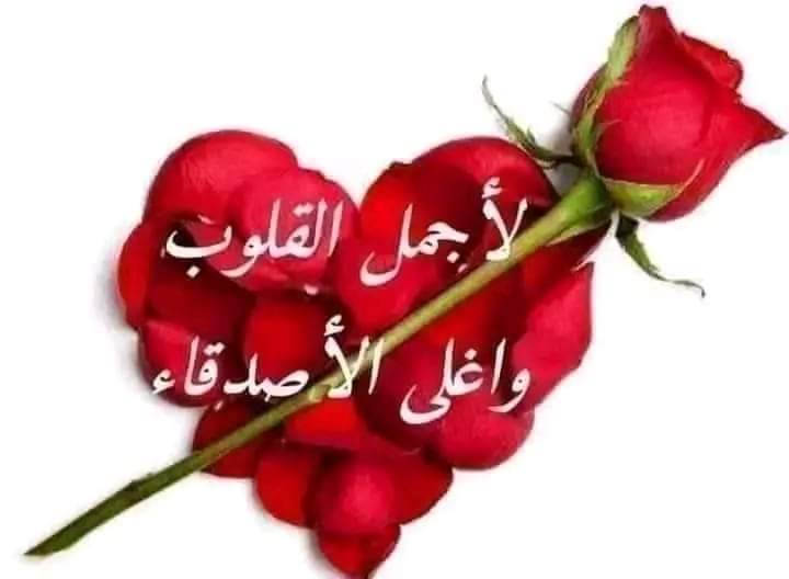 @FatmaAshraf26 @hdn_na @foz3x3 @_HZTT @RGirlfor @jj_jj_jj___jj @ereditsh @nwfh153 @m8299381 @4vdks @jiiiijp @fii130 @betol_2024 @awaisaraza @sabina78621 @Sarah_Maga24 @zahrat_lotas @sanim4041 @SaithMAli @sa_4a_ @Qs3488 @latif25aes @IRi8e4U @shakspar @shd0016