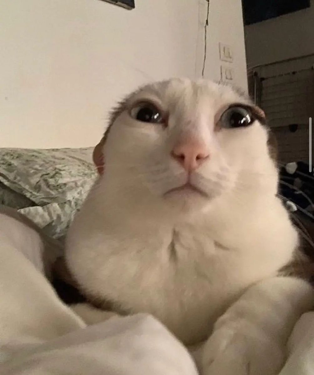 Florence tweet media