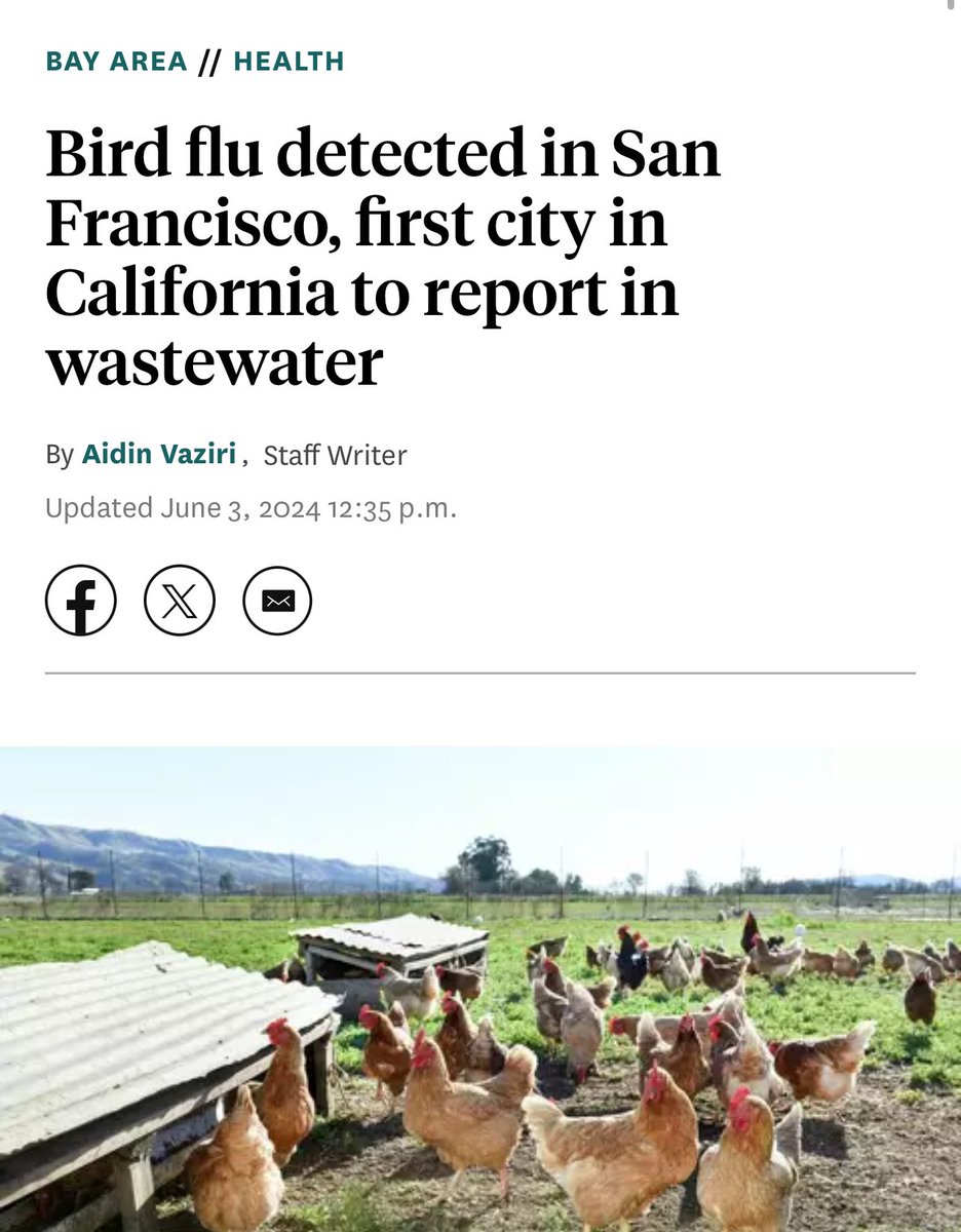 Two chickens at live bird market in San Francisco’s Bayview neighborhood tested positive for #H5N1 - discovered during routine surveillance last month. After this, #H5N1 virus fragments were detected in wastewater from the city So far, no positive dairy cow herds in the