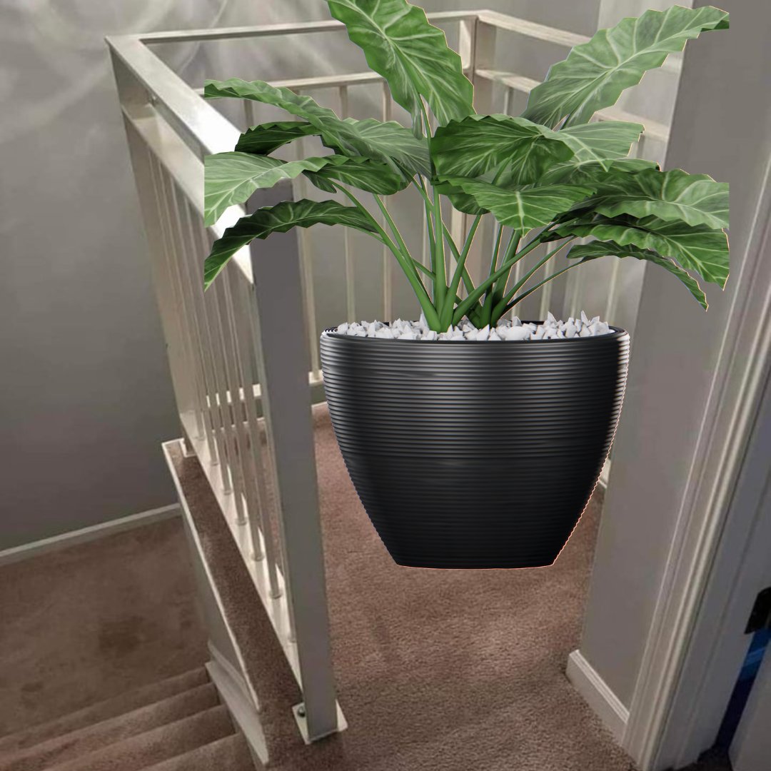 Anne Miles tweet media