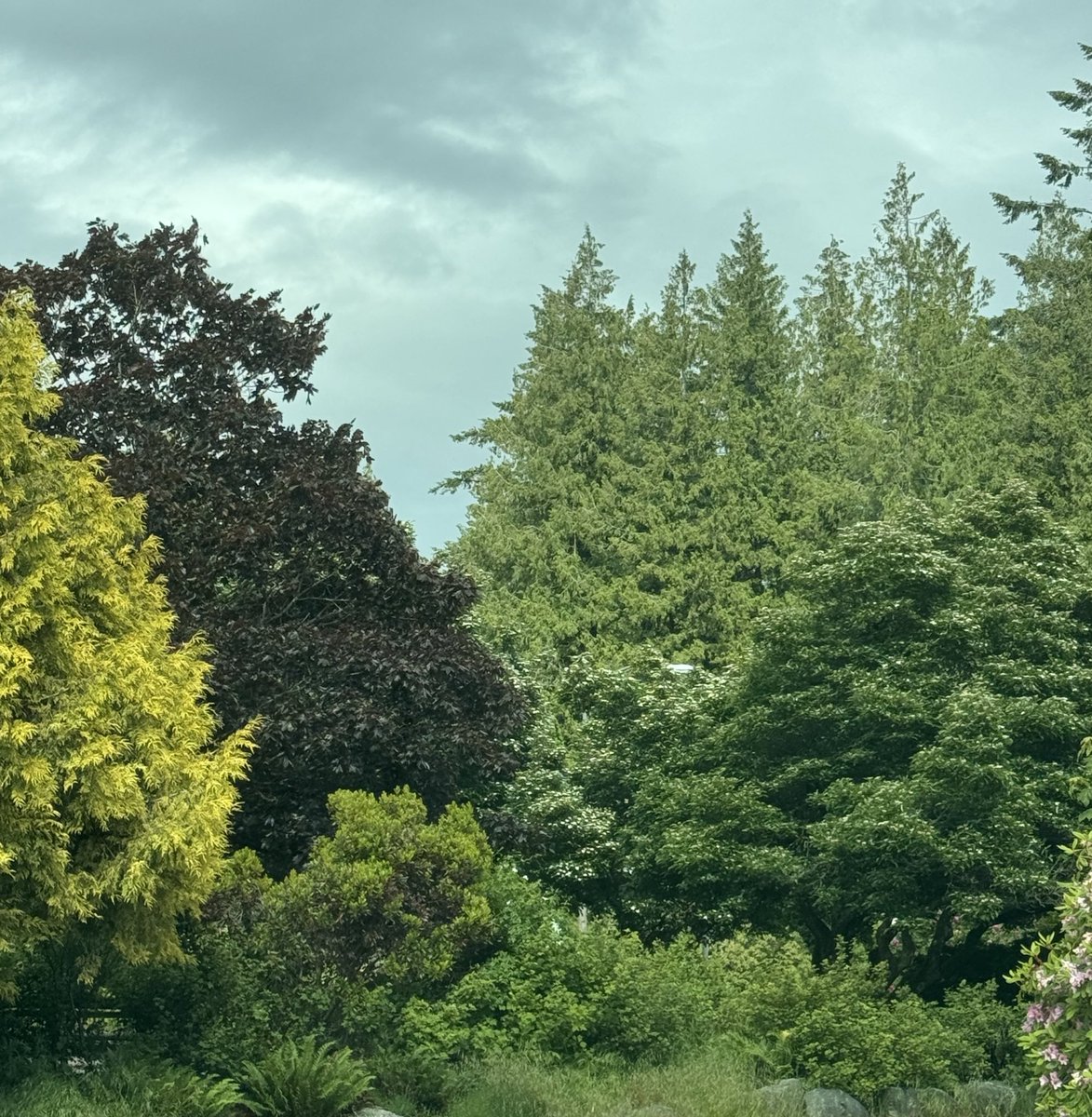 all my favourite shades of green