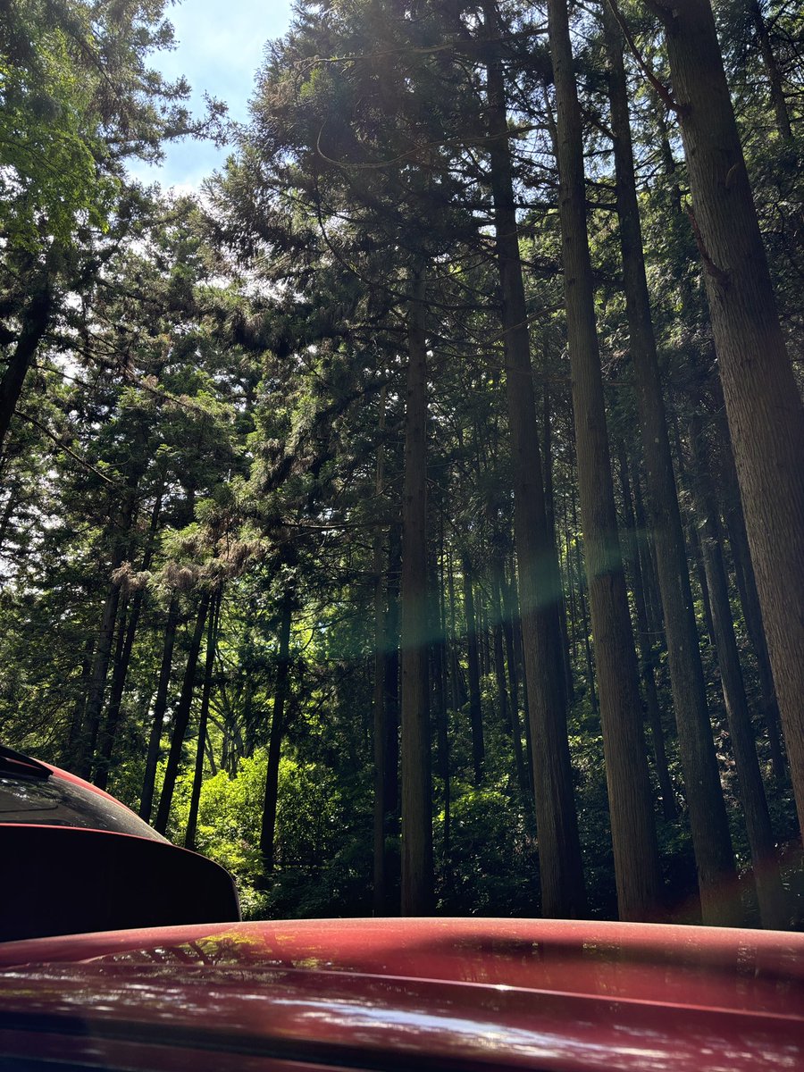 Iinecamp's tweet photo. 🏕️グルキャン🏕️

2ヶ月ぶりのキャンプです🏕️
＃キャンプ好きな人と繋がりたい 
＃キャンプ飯 https://t.co/aDNbwz8A68
