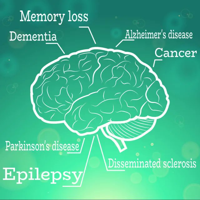 WorldBrainDayKE's tweet photo. Over 1 in 3 people affected by neurological conditions,  the leading cause of illness and disability worldwide. A major new  study released by The Lancet Neurology shows that, in 2021, more than 3  billion people worldwide were living with a neurological condition. https://t.co/x8dMuUB3iA