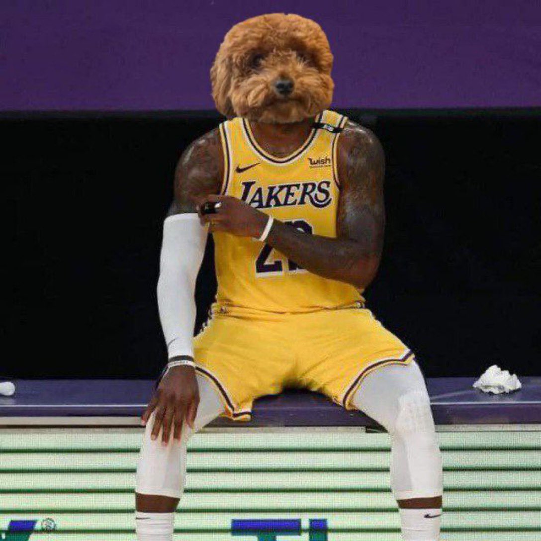 <a href="/smith_john8918/">Heysammyboy</a> <a href="/1goonrich/">Quasar.Exe</a> Been telling you about $MACHO all day 

Be early and act with conviction gang