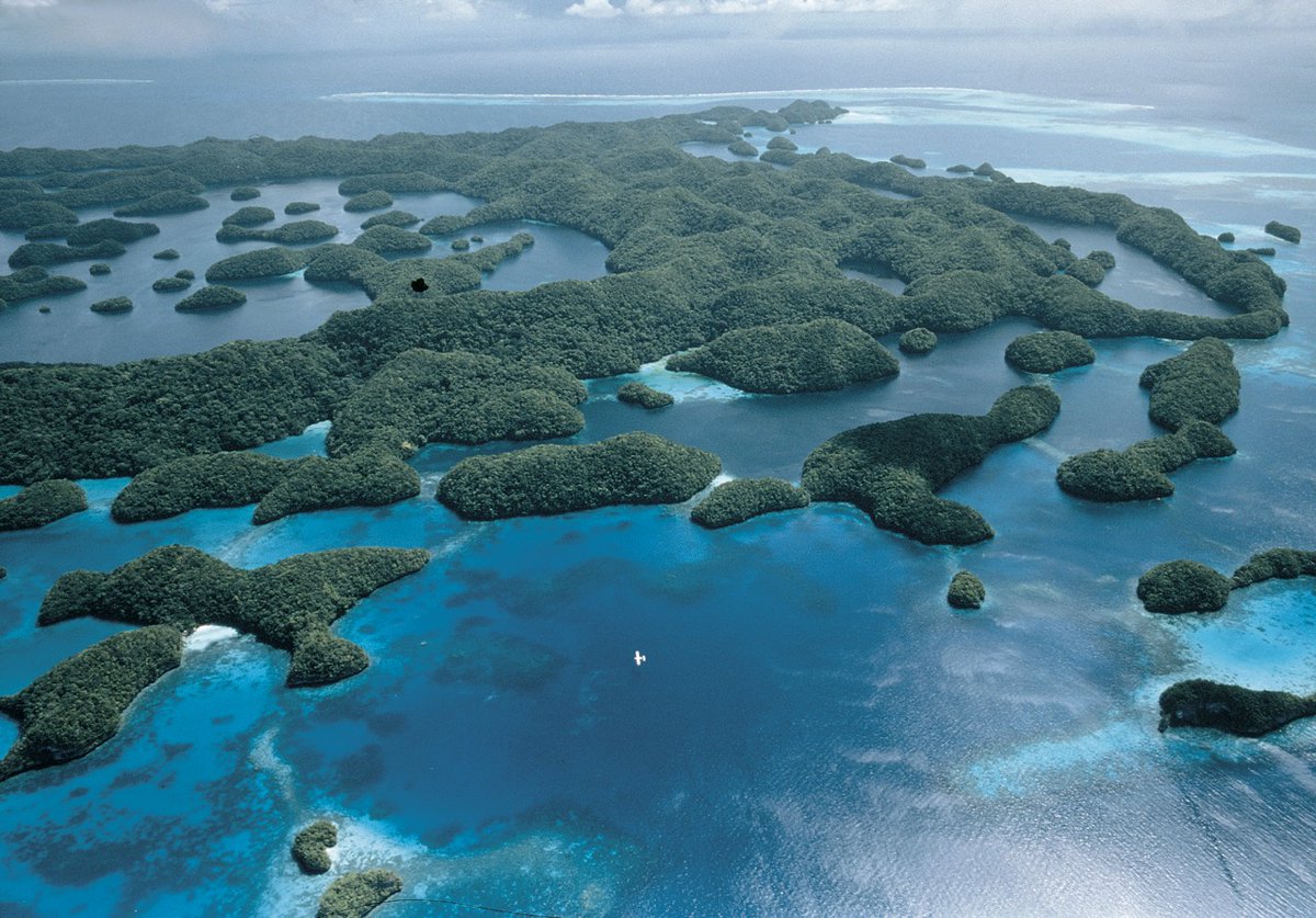 One World One Ocean tweet media