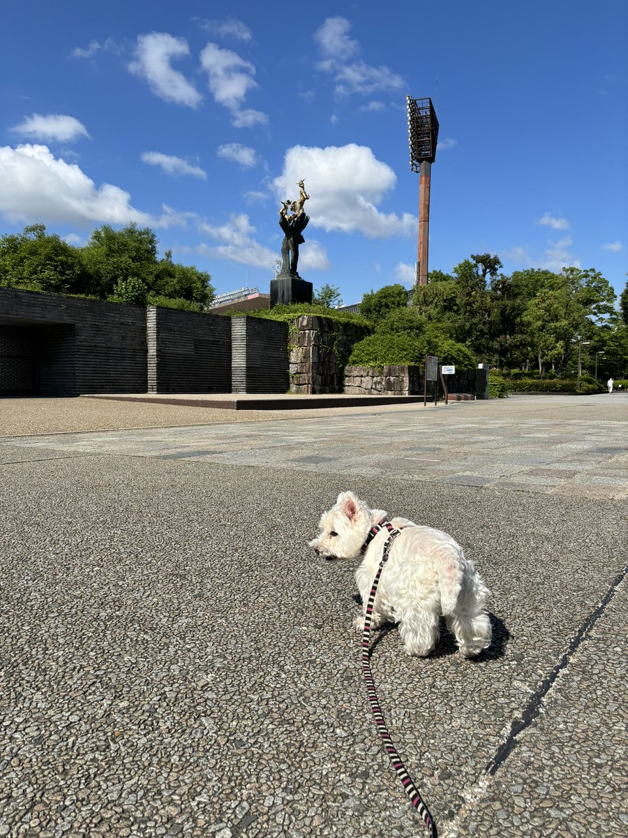 nasuke03's tweet image. いい天気
今日も一日ご安全に😊