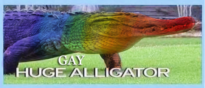 GatorsDaily's tweet image. i know what you are