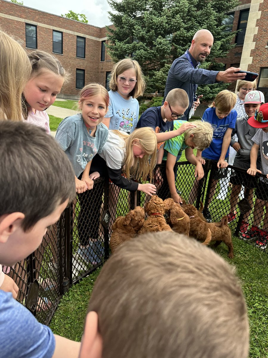 EmilyCron16's tweet photo. Puppy kisses and giggles🐾💖The best way to start the last month of the school year with this sweet bunch. #wcsdletsgo  @ElmSt_WCSD https://t.co/fDsPsM1oOC