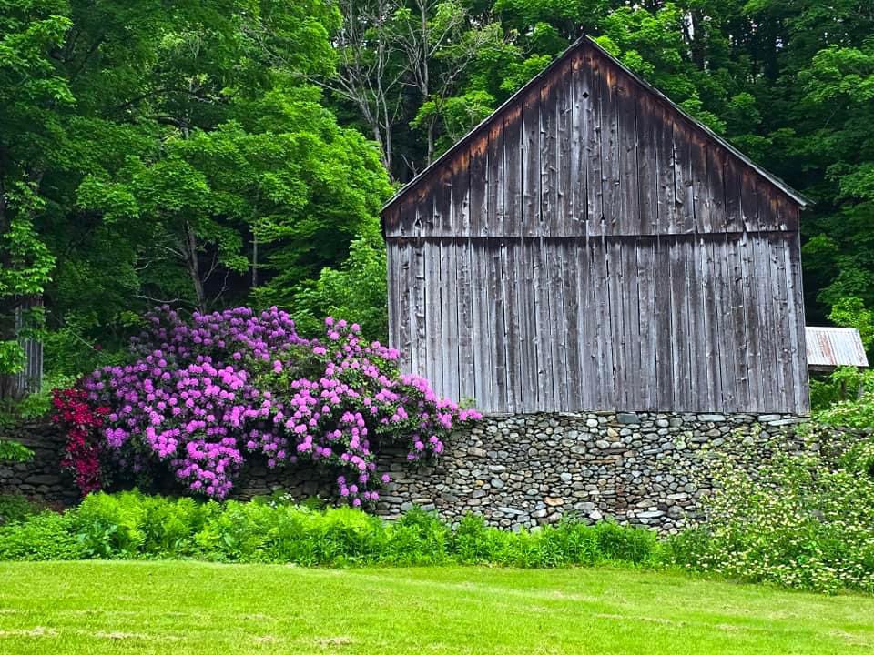 #Vermont By ~ Erika Brinkman