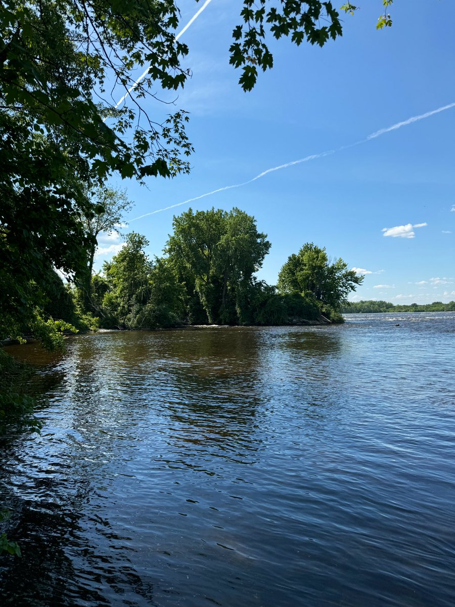 MichelleKisil's tweet image. What ya get when you leave the battery for your camera at work and don’t have a backup in your bag! “At least” I had my phone! 😅  #IYKYK #RookieMove #UserError 😜#WoodDuckJuvenile #JuvenileCanadaGoose #Damselfly