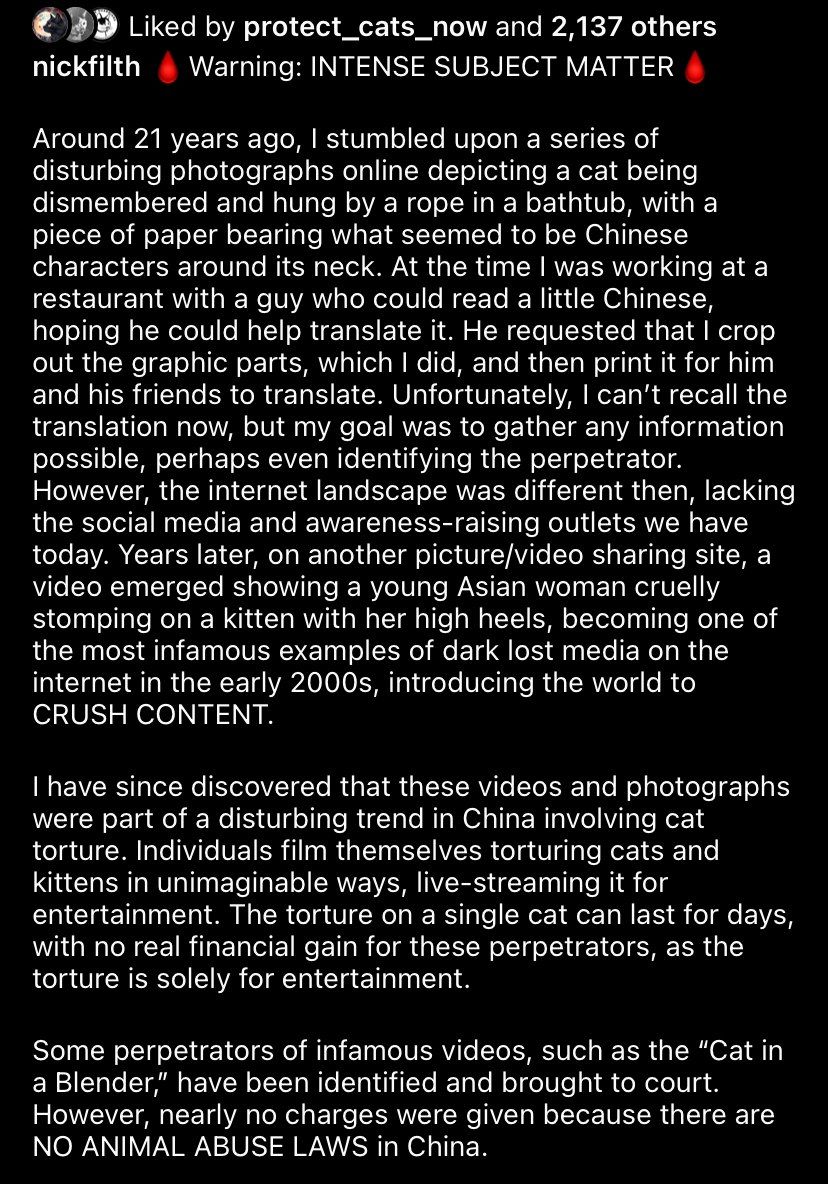 KeithWoodsYT's tweet image. ⚠️🇨🇳 China has a subculture growing in popularity: cat torture.

One of the most popular content creators in this genre, who popularised the "cat in blender trend", has made over $700k.

He hasn't faced any criminal charges though, because China has no laws against animals abuse.
