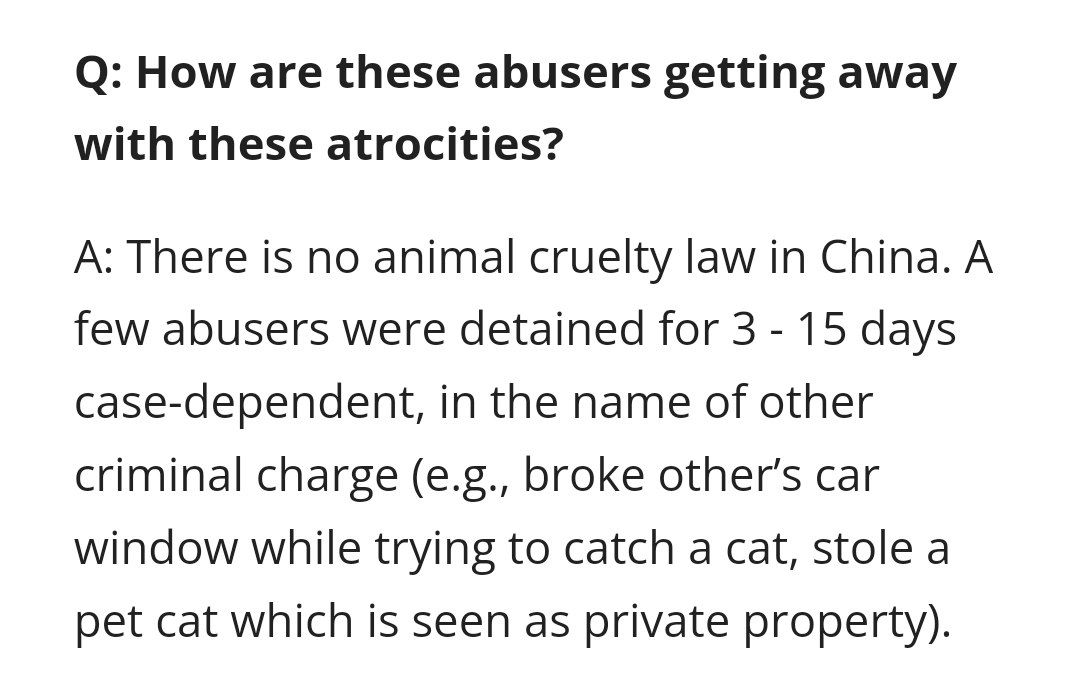 KeithWoodsYT's tweet image. ⚠️🇨🇳 China has a subculture growing in popularity: cat torture.

One of the most popular content creators in this genre, who popularised the "cat in blender trend", has made over $700k.

He hasn't faced any criminal charges though, because China has no laws against animals abuse.