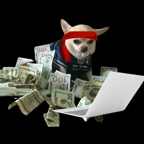 Lets see if this can do anything $DOGME

pump.fun/AydqtXtvdfDiCt…