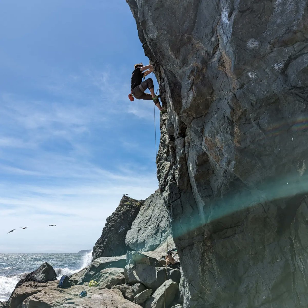 Benjamin Coe tweet media