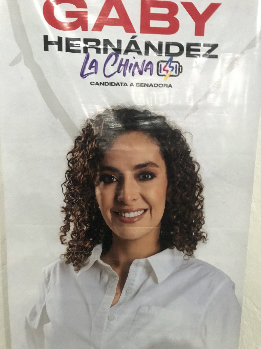 Gaby Fue la única que hizo campaña usted sabe del fraude aquí y a nivel nacional  su sueño no termina para arriba Gaby  usted Llegará al Tiempo